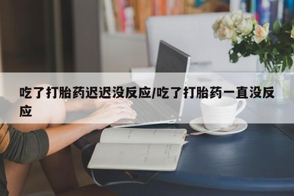 哪里有堕胎药微信吃了打胎药迟迟没反应/吃了打胎药一直没反应
