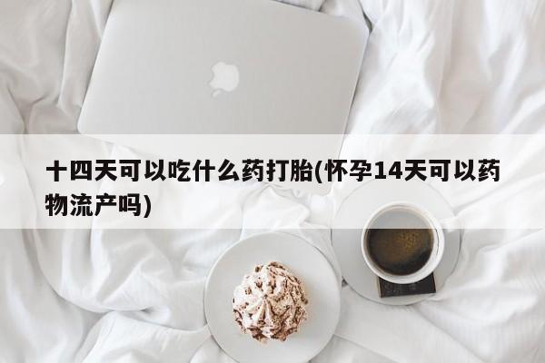 哪里有堕胎药微信十四天可以吃什么药打胎(怀孕14天可以药物流产吗)